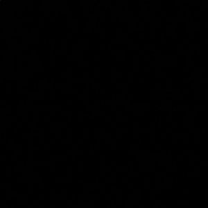 Meet your Posher, Ali